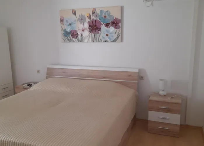 Apartman And Vinko Matic *